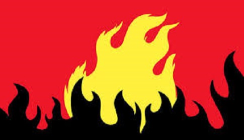 সাতক্ষীরায় ভয়াবহ অগ্নিকাণ্ডে ৮ দোকান পুড়ে ছাই