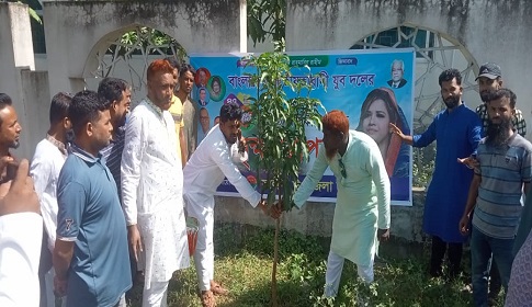 সালথায় যুবদলের বৃক্ষরোপণ ও মাছের পোনা অবমুক্তকরণ