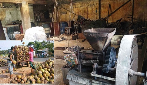 বাগেরহাটে নারকেলের উৎপাদন ৭০ ভাগ কমায় বন্ধ ৯৯ কোকোনাট অয়েল মিল