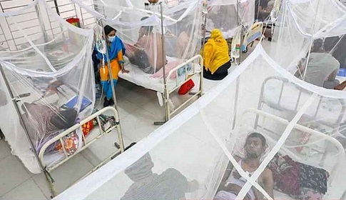ডেঙ্গুতে ২৪ ঘণ্টায় ৫ জনের মৃত্যু 