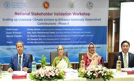 দেশীয় গরুর জাত সংরক্ষণের আহ্বান প্রাণিসম্পদ উপদেষ্টার