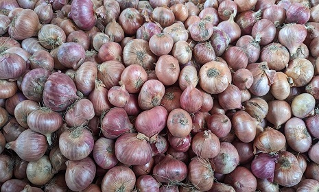 চালের দাম নিম্নমুখী, বেড়েছে পেঁয়াজের দাম