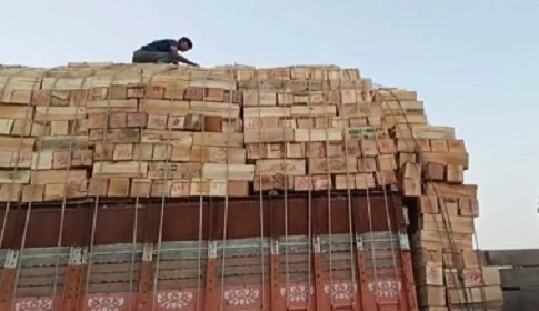 ১১ বছর পর হিলি বন্দর দিয়ে আপেল আমদানি শুরু