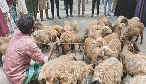 আয়বৃদ্ধিমূলক কর্মকান্ডে বদলে যাচ্ছে চরবাসীর জীবনমান