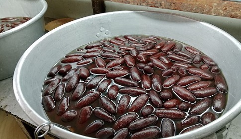 শক্তিগড়ের ল্যাংচায় বাঙালির নস্টালজিয়া