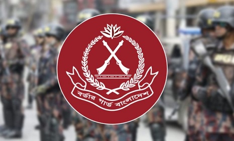 ঢাকা ও আশপাশের জেলায় বিজিবি মোতায়েন