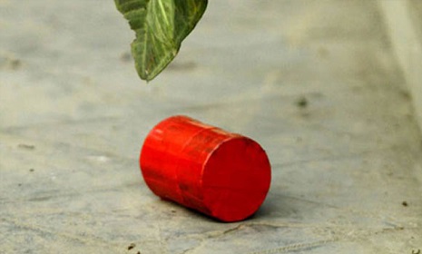 ঢাকায় ১২ দিনে ১৯ স্থানে ৩৬ ককটেল বিস্ফোরণ