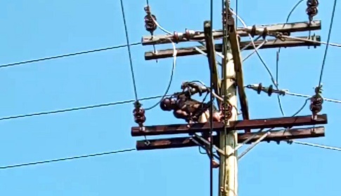 বাগেরহাটে বিদ্যুতায়িত হয়ে বিদ্যুৎ শ্রমিকের মৃত্যু