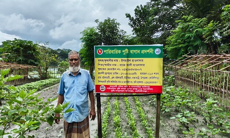 পারিবারিক বাগানে মিলছে পুষ্টি ও অর্থ 