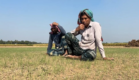 বালুর সাথে কীটনাশক মিশিয়ে পেঁয়াজের বীজতলায় দিলো দুর্বৃত্তরা, আড়াই লাখ টাকার ক্ষতি   