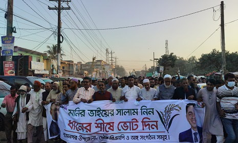 বিএনপির মনোনীত ধানের শীষের প্রার্থী ড. মনিরুজ্জামানের পক্ষে শ্যামনগরে গণমিছিল