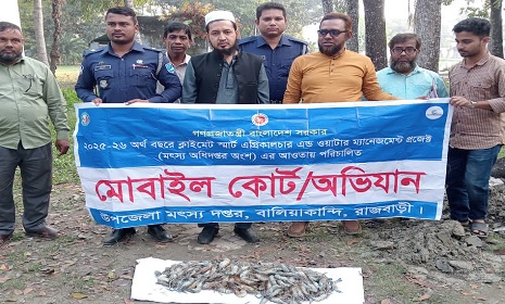 চিংড়ি মাছের পেটে জেলি পুশ, ব্যবসায়ীকে জরিমানা