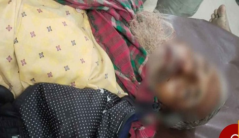 নড়াইলে ট্রাকের ধাক্কায় প্রাণ গেল ভ্যান চালকের 