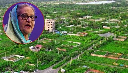 শেখ হাসিনার প্লট দুর্নীতি মামলার রায় ১ ডিসেম্বর