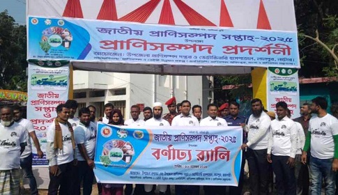 লালপুরে প্রাণিসম্পদ সপ্তাহের শুভ উদ্বোধন