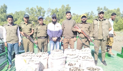 পাচারকালে জব্দ ১৮ বস্তা শামুক সুন্দরবনের নদীতে অবমুক্ত