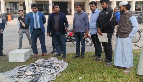 দৌড়ে পালালো ব্যবসায়ী, ৬০ কেজি জাটকা গেলো এতিমখানায়