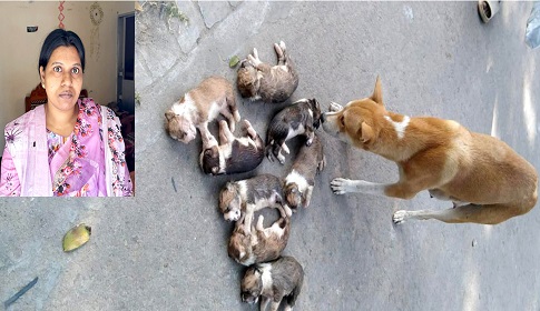 আট কুকুরছানা হত্যার অভিযোগে সরকারি বাসা ছাড়তে বাধ্য হলেন কর্মকর্তা