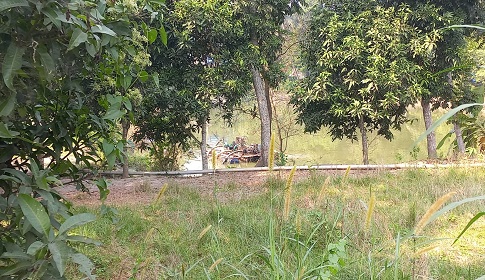 সালথায় ড্রেজার দিয়ে বালু উত্তোলন, হুমকিতে পাকা সড়ক 