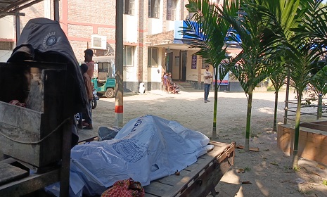 সালথায় মাছ ব্যবসায়ীকে কুপিয়ে হত্যা 