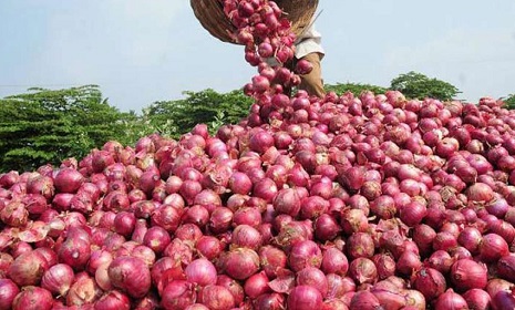 রবিবার থেকে সীমিত আকারে পেঁয়াজ আমদানির অনুমতি