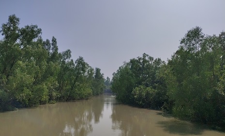 মুক্তিপণের দাবিতে সুন্দরবনে কর্মরত থেকে ৭ জেলেকে অপহরণ