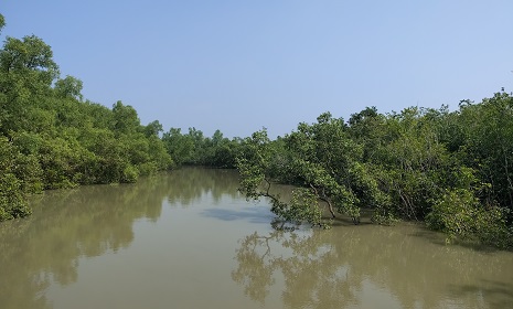 জলদস্যুদের দুই লক্ষ টাকা মুক্তিপণ দিয়ে মুক্ত আট জেলে 