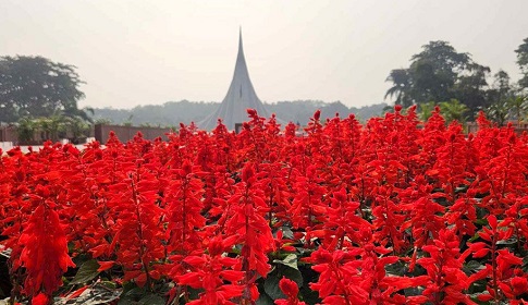 স্মৃতির রক্তিম আলোয় উদ্ভাসিত বিজয়ের দিন 