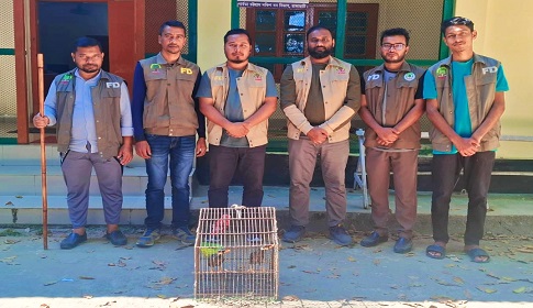 কাপ্তাইয়ে বিরল প্রজাতির দু’টি ময়না পাখি উদ্ধার