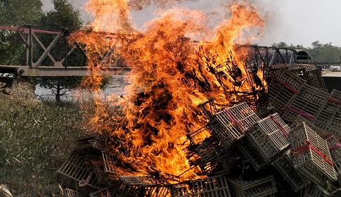 সুন্দরবনে কাঁকড়া ধরার নিষিদ্ধ আটন পুড়িয়ে ধ্বংস