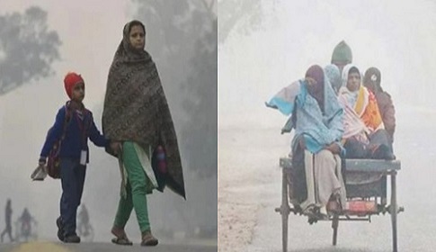 নড়াইলে জেঁকে বসেছে শীত, কনকনে হিমেল হাওয়ায় স্থবির জনজীবন