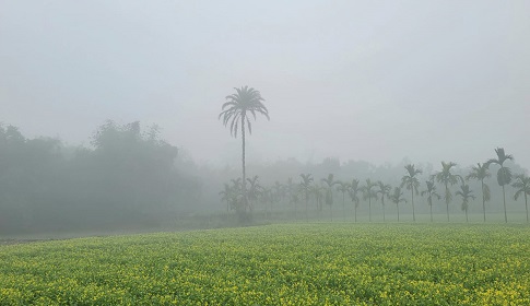তীব্র শীতে বিপর্যস্ত কুড়িগ্রামের জনপদ, তাপমাত্রা ৮.৫ ডিগ্রি