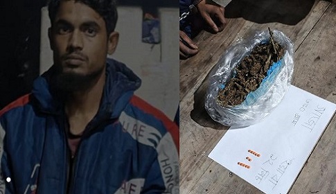 বোয়ালমারীতে ইয়াবা-গাঁজাসহ একজন আটক 