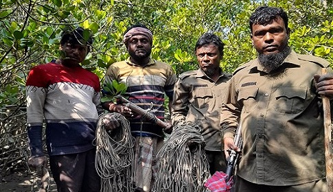 সুন্দরবন থেকে হ‌রি‌ণ শিকারের ২৪৬টি ফাঁদ উদ্ধার
