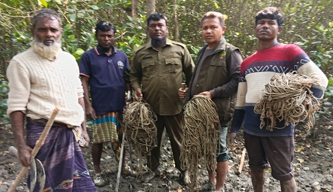 সুন্দরবন থেকে হরিণ শিকারের দুই শতাধিক ফাঁদ উদ্ধার 