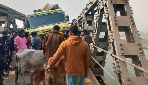 ভূরুঙ্গামারীতে সোনাহাট সেতুর পাটাতন ভেঙে যান চলাচল বন্ধ