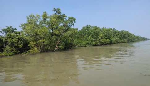 মুক্তিপণের বিনিময়ে জলদস্যুদের হাতে জিম্মি ১৪ জেলের মুক্তি 