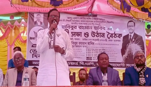 পাকা ধান কেটে মোটরসাইকেলে করে নিয়ে দাঁড়িপাল্লায় মাপা যাবে না : হাবিব