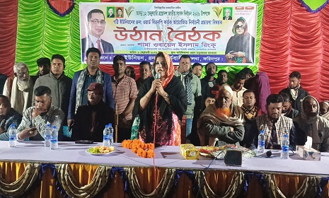 সালথার কাউলিকান্দা গ্রামে বিএনপির নির্বাচনী পথসভা অনুষ্ঠিত 