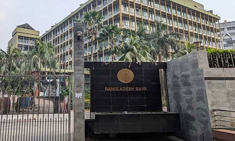 ‘দেশের ভেতরে নগদ অর্থ বহনে কোনো সীমা নেই’