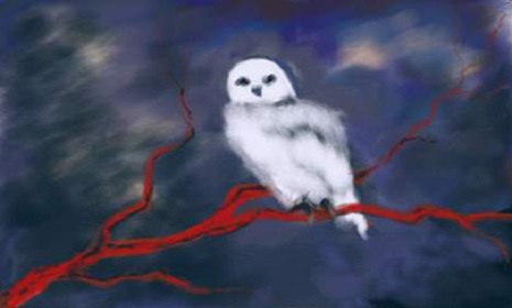 আট বছর আগে একদিন