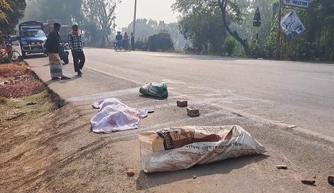 গোপালগঞ্জের ডুমদিয়ায় বাস চাপায় নারী নিহত