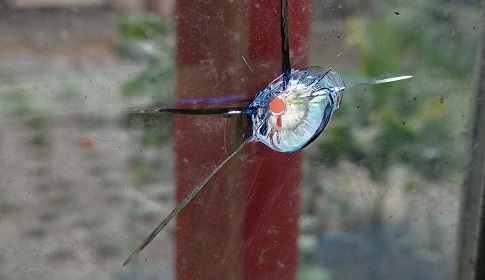 গোপালগঞ্জের কোটালীপাড়ায় ব্যবসায়ীর বাড়িতে গুলি
