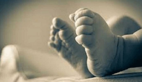 নড়াইলে মহাসড়কের পাশ থেকে নবজাতক শিশুর লাশ উদ্ধার