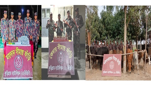 কুড়িগ্রামে বিজিবির জালে ধরা ৪৬ লাখ টাকার অবৈধ পণ্য