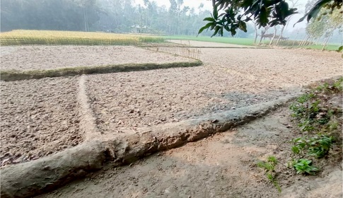সেচের পানি না দেয়ায় ইরি-বোরা আবাদ করতে পারেনি কৃষক