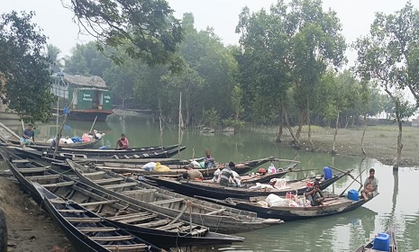 দুই মাস পর সুন্দরবনে কাঁকড়া আহরণ শুরু
