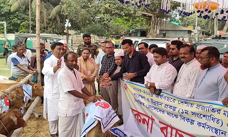 কোটালীপাড়ায় মৎস্যজীবীদের মাঝে বকনা বাছুর বিতরণ