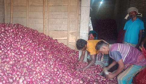পেঁয়াজের দাম নিয়ে হতাশ কৃষক