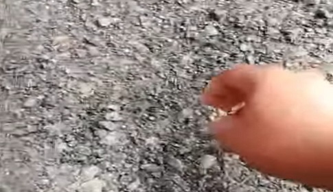 মহম্মদপুরে সড়ক সংস্কারে বিটুমিন কম দেওয়ার অভিযোগ, হাত দিলেই উঠে যাচ্ছে পাথর